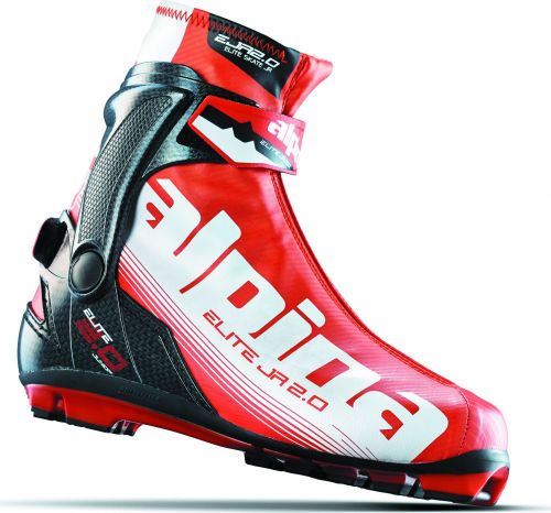 лыжные ботинки ALPINA ESK 2.0 JR (17-18) 5545-3