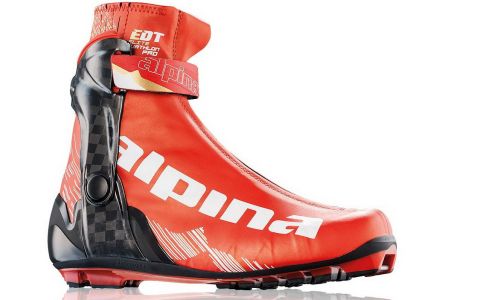 лыжные ботинки ALPINA 5771-1 EDUATLON