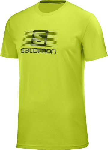 футболка SALOMON BLEND LOGO SS TEE M 400623
