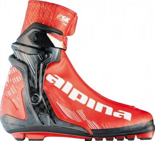 лыжные ботинки ALPINA ESK PRO WC 5071-2